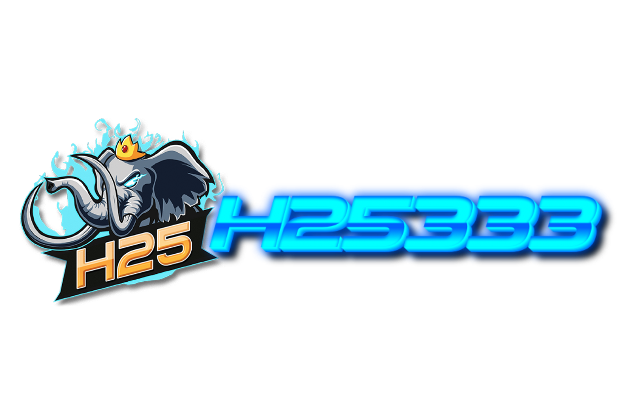 h25333.net